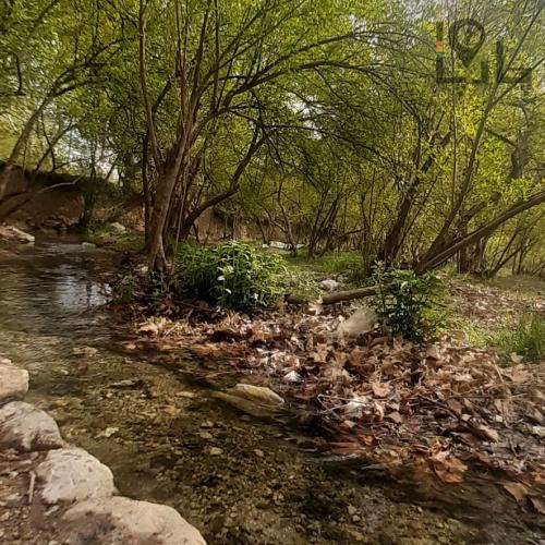 فروش باغ ثمرده